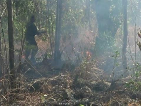 Delapan Hektare Bukit Bentar Ludes Dilalap Api