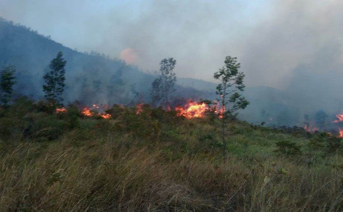 Relawan Kesulitan Padamkan Kebakaran Hutan dan Lahan Welirang