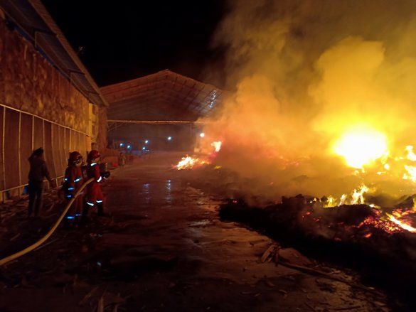 Pabrik Pengolahan Kayu Probolinggo Dilalap Api