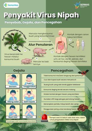 Cara Mencegah Penularan Virus Nipah