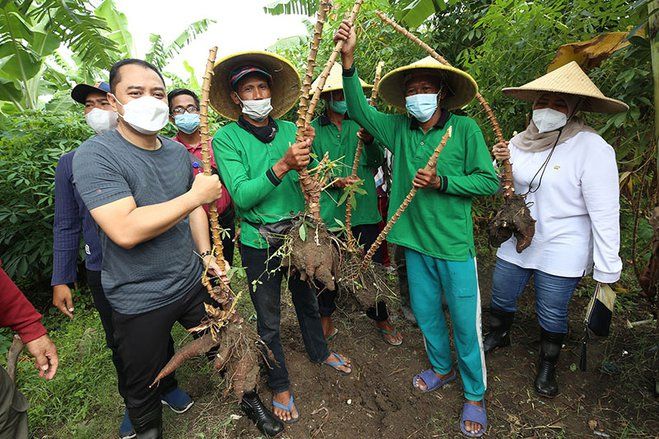 Manfaatkan Lahan Tidur, Ini Cara Cerdas Hadapi Ancaman Krisis Pangan Global
