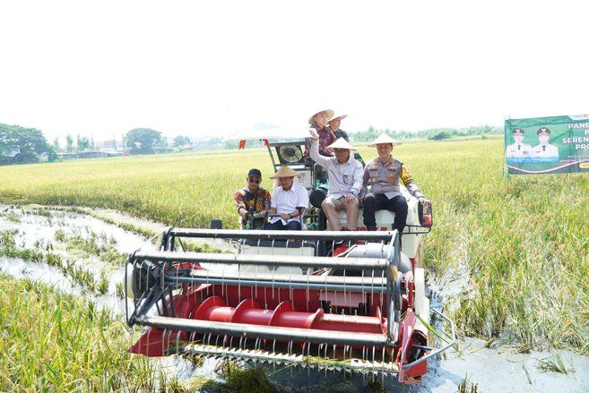 Harga Gabah di Lamongan Masih Rendah, Bupati Carikan Solusi