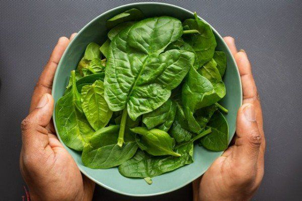 Ini 4 Makanan yang Baik untuk Kesehatan Tulang