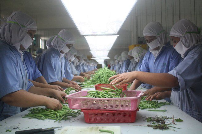 Neraca Perdagangan Indonesia Surplus 0,23 Miliar Dolar