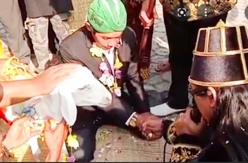 Sidang Kasus Nikah Manusia dan Kambing di Gresik Mulai Digelar