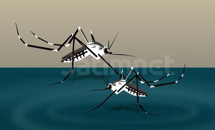 Kasus DBD di Jatim Turun Drastis Dibanding 2019