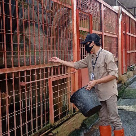 Dalih untuk Operasional, Enam Hewan Titipan BKSDA Jatim di Madiun Umbul Square Dijual