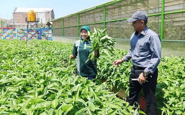 Impor Hortikultura Naik Jelang Natal dan Tahun Baru