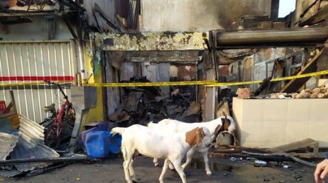 Kebakaran Pasar Kambing Diduga Pegawai Panik Ambil Bensin untuk Siram Api
