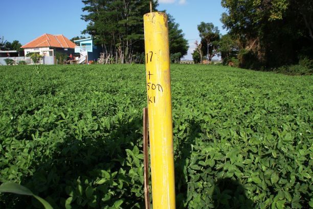 Puluhan Warga Situbondo Keluhkan Harga Beli Tanah Pembebasan Ruas Tol Probowangi