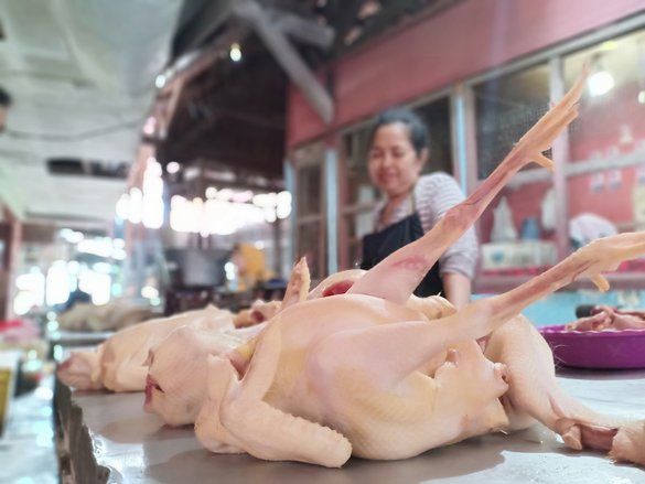 Harga Ayam Broiler Rp32.000 per Kilogram di Probolinggo