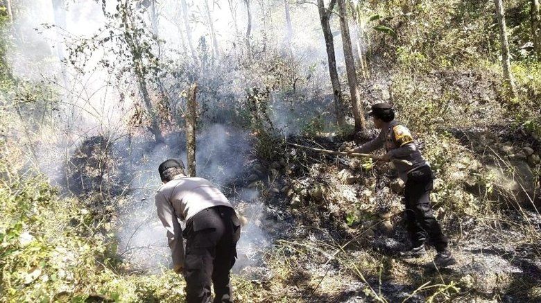 Polisi Selidiki Penyebab Kebakaran 5 Hektare Lahan Warga di Ngawi