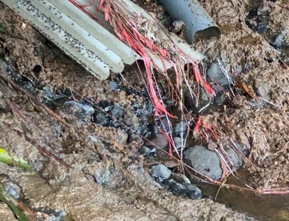 Belasan Tahun Sungai di Lumajang Diduga Tercemar Limbah Peternakan