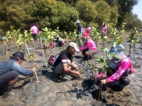Jadikan Hutan Mangrove Wonorejo sebagai Rekreasi Edukatif