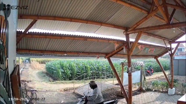 Dibuntuti dari Rumah, Motor Petani di Probolinggo Dicuri saat Mengairi Sawah