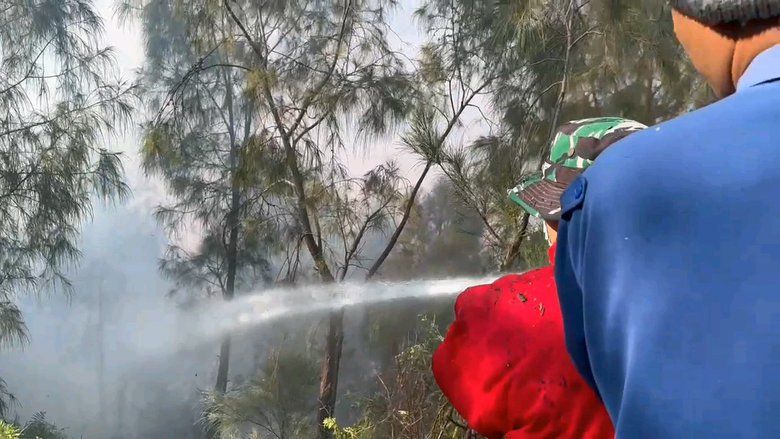 Kebakaran Hutan Taman Nasional Bromo Tengger Semeru Padam Usai 11 Hari