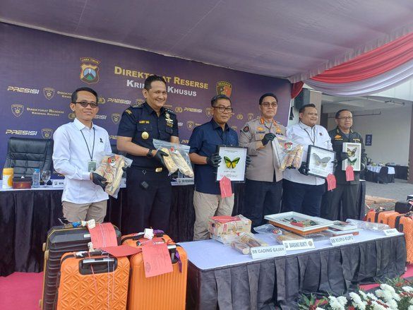 Modus Jamaah Umrah Dipakai Selundupkan 53 Potong Gading Gajah, Polda Jatim Tangkap Satu Tersangka