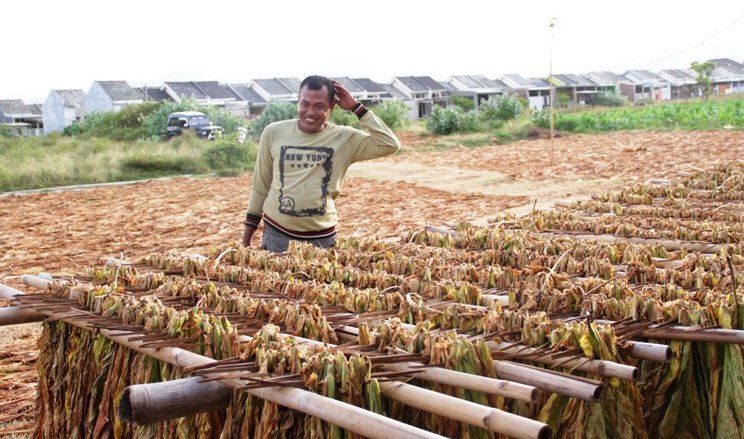 Pemanfaatan DBHCHT untuk Penegakan Hukum di Jombang Dikepras?&nbsp;