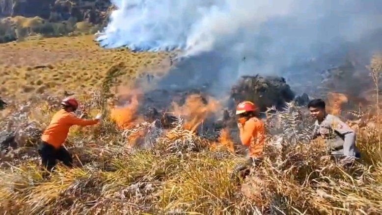 Karhutla TNBTS Belum Padam, Luas Lahan Terbakar Meluas Jadi 15 Hektare