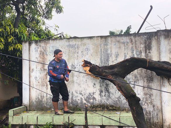 Hujan Deras dan Angin Kencang Terjang Mojokerto, Pohon Tumbang Timpa Rumah dan Sekolah