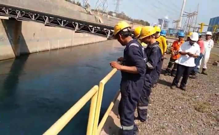 Terdapat Tiga Luka Robek di Tubuh Hiu Paus
