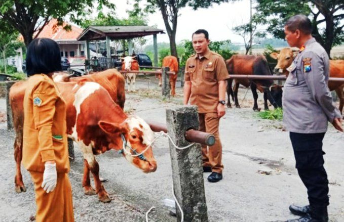 Pemkab Gresik Didesak Buka Kembali Pasar Hewan di Balongpanggang