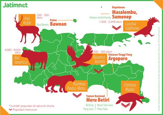 Satwa Sitaan Berupa Ratusan Burung Dilindungi Terancam Mati