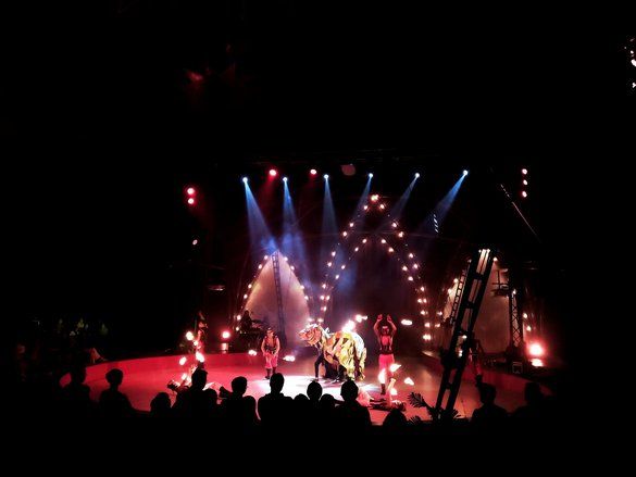 Oriental Circus Indonesia Gelar Pertunjukan di Surabaya