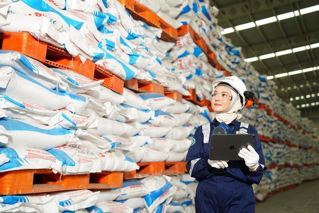 Stok Pupuk Bersubsidi di Madiun Raya Capai 31 Ribu Ton