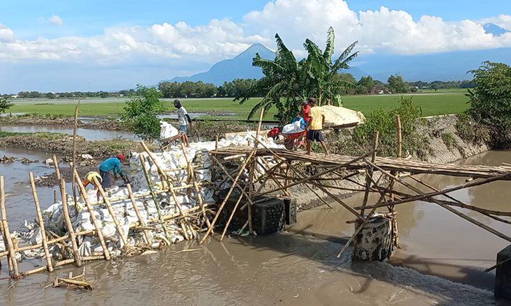 Tanggul Sungai di Mojokerto Kembali Jebol, 16 Hektar Sawah Terendam Air
