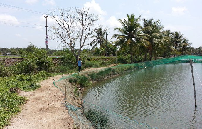 Tambak di Sekitar NYIA Diminta Kosongkan Lahan