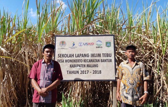 Ketika Petani Tebu Melek Iklim, Hasil Panen Kian Manis