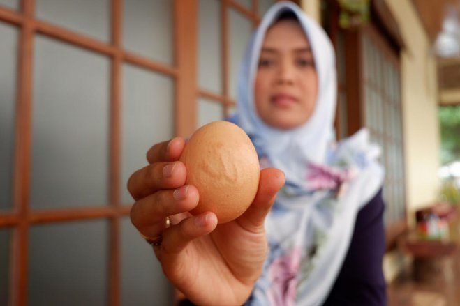 Peternak Blitar Temukan Telurnya Tertulis Lafaz Allah