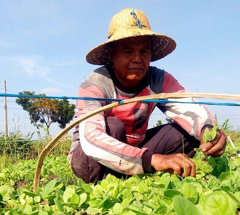 Pemerintah Berupaya Kurangi Produk Hasil Tembakau