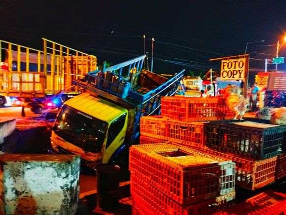 Lupa Rem Tangan, Truk Bermuatan Ayam di Mojokerto Masuk Saluran Air