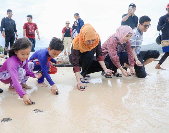 Khofifah Lepas Tukik Saat Berlibur Bersama Keluarga Besar di Pulau Tabuhan