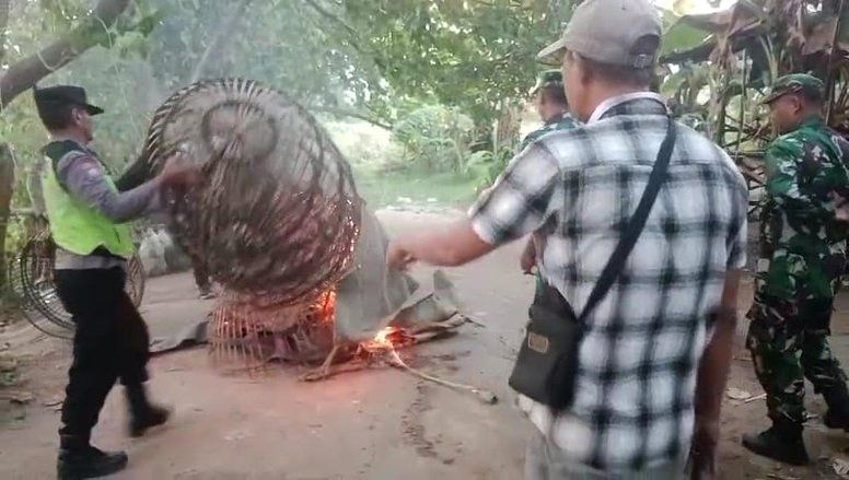 Polisi Bongkar Arena Judi Sabung Ayam di Ngoro Mojokerto