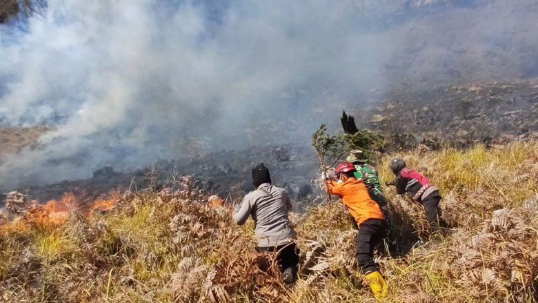 Karhutla di TNBTS Meluas hingga Probolinggo, Tiga Jalur Wisata Bromo Ditutup

‎‎
