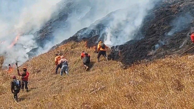 Hari Kelima Kebakaran Bromo, Api Merembet Hingga Bawah Tebing B29