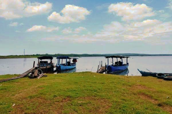 Perbanyak Penumbuhan Kelompok Nelayan, Dinas Perikanan Lamongan Sasar PUD