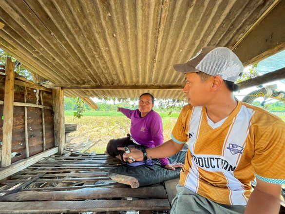 Lepas dari Penangkaran, Rusa Timor Rusak Lahan Pertanian Warga Tuban