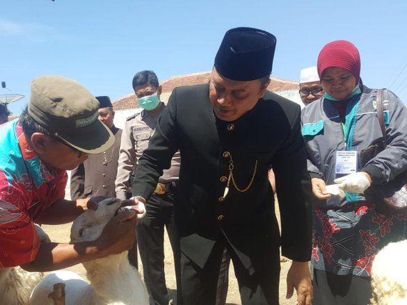 Pemkot Probolinggo Temukan Hewan Kurban tak Layak Jual
