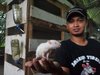 Pria di Mojokerto Sukses Ternak Tikus Putih, Omzet Jutaan Rupiah