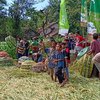 Petani Padi Kota Probolinggo Gelar “Tradisi Totta’an”