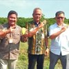 Budidaya Mangga Desa Wotan Gresik Masuk Food Estate, Berpotensi Ekspor Asia dan Timur Tengah