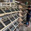 Usaha Telur Burung Puyuh, Mahasiwa ini Raup Cuan Rp12 Juta Sebulan