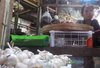 Harga Bawang Putih Naik 60 Persen, Disperindag Jatim Tunggu Arahan Pemerintah Pusat