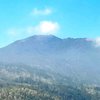 Hutan Gunung Arjuno Kembali Terbakar