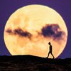Waktu Untuk Mengamati Supermoon 19 Februari 2019