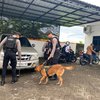Lakukan Sterilisasi Gereja, Polresta Banyuwangi Terjunkan Unit K-9